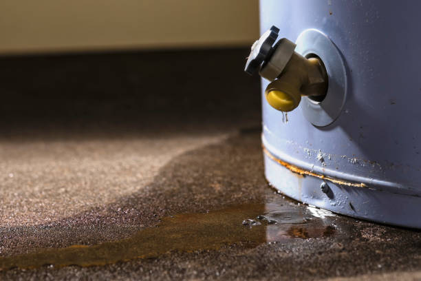 Best Water damage restoration near me  in Yerington, NV