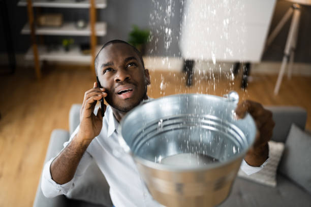 Best Water damage restoration services  in Yerington, NV