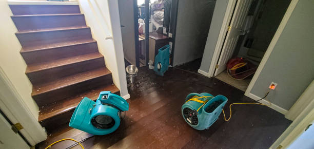 Best Water damage restoration near me  in Yerington, NV