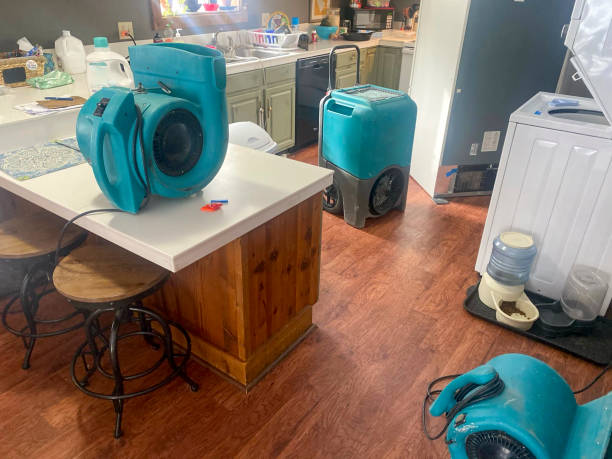 Best Professional water damage repair  in Yerington, NV
