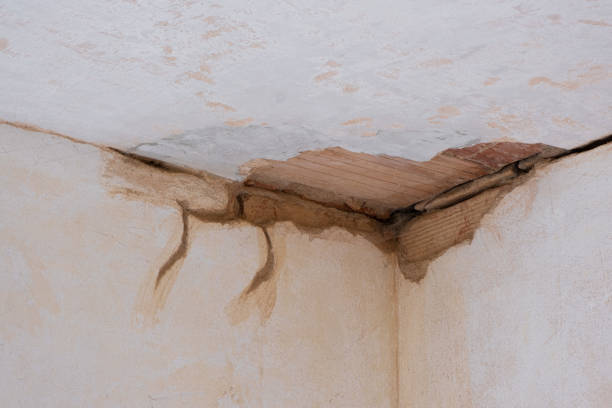 Best Emergency water damage restoration  in Yerington, NV