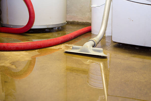 Best Local water damage restoration  in Yerington, NV