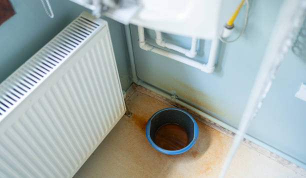 Best Mold removal after water damage  in Yerington, NV