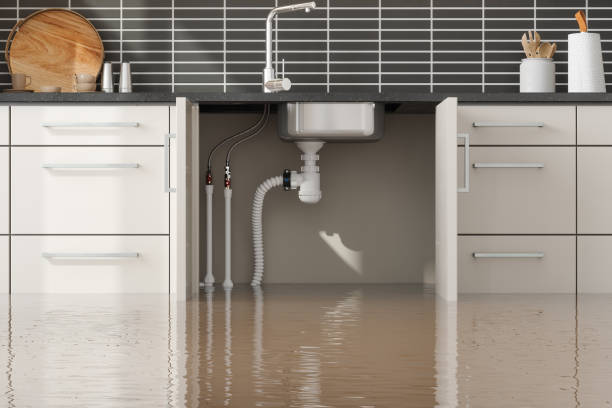 Best Flood restoration services  in Yerington, NV