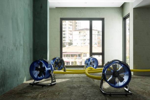 Best Residential water damage restoration  in Yerington, NV